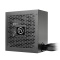 Smart BX1 450W